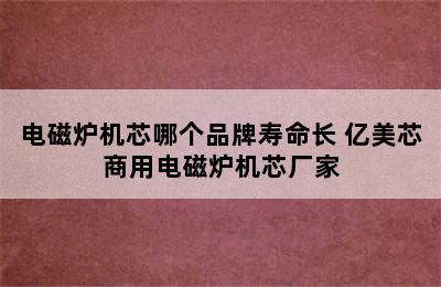 电磁炉机芯哪个品牌寿命长 亿美芯商用电磁炉机芯厂家